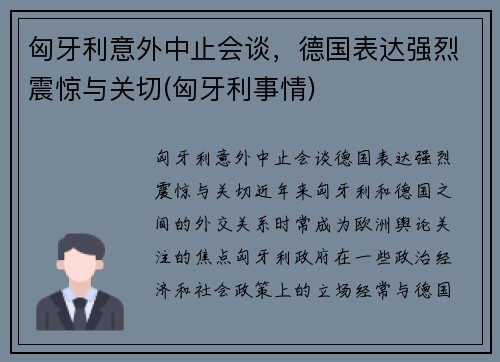匈牙利意外中止会谈，德国表达强烈震惊与关切(匈牙利事情)