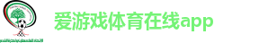 爱游戏体育在线app